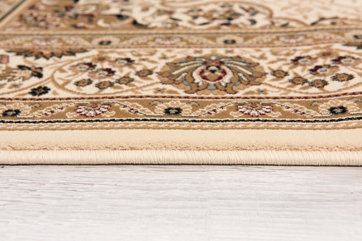 Rihab Persian Medallion Traditional Beige and Cream Indoor Rug-19