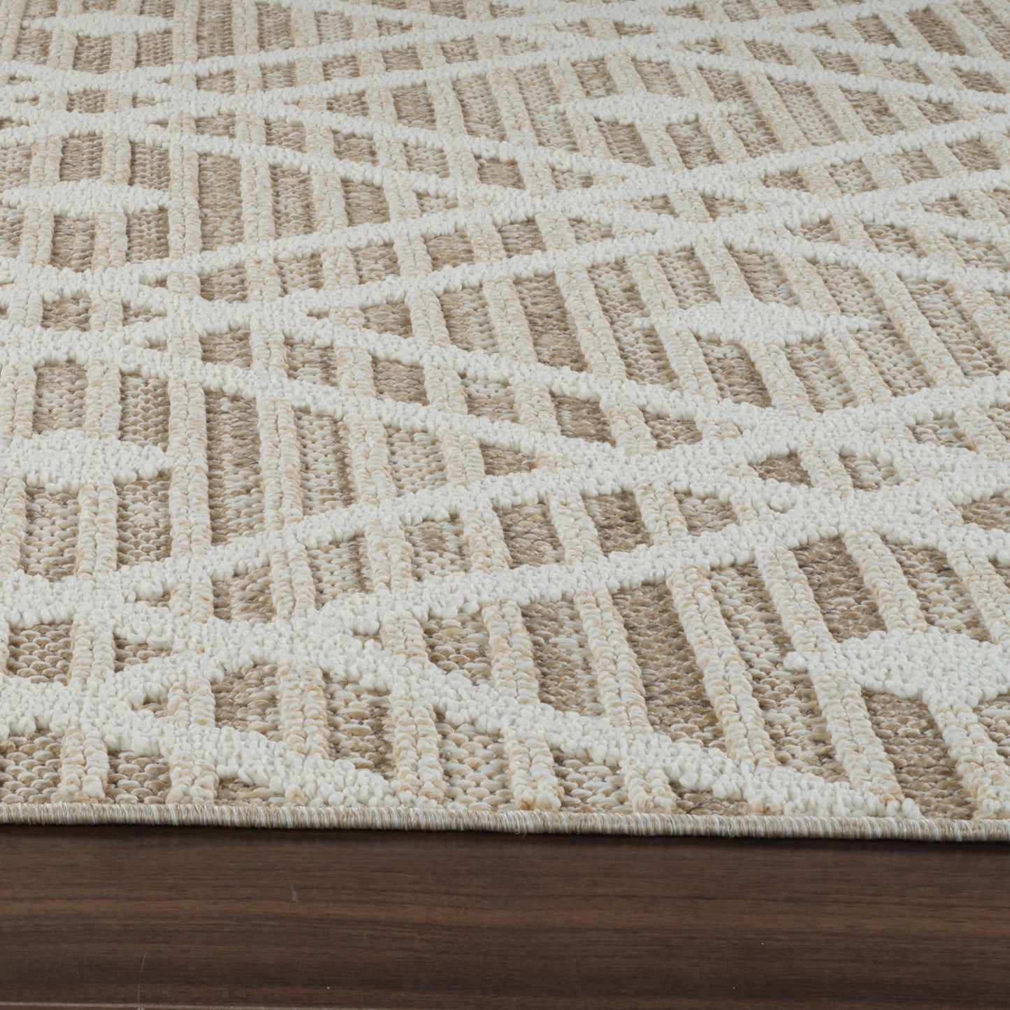 Sela Trellis Transitional Brown and Cream Indoor Rug