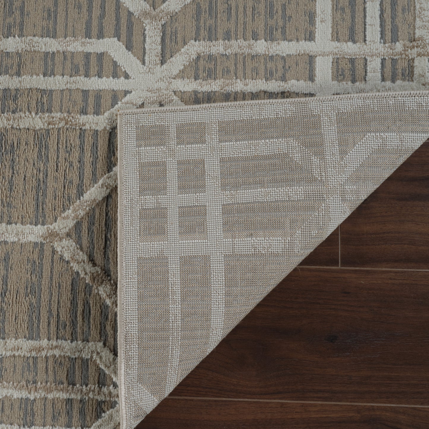 Kiona Trellis Modern Beige and Brown Indoor Rug