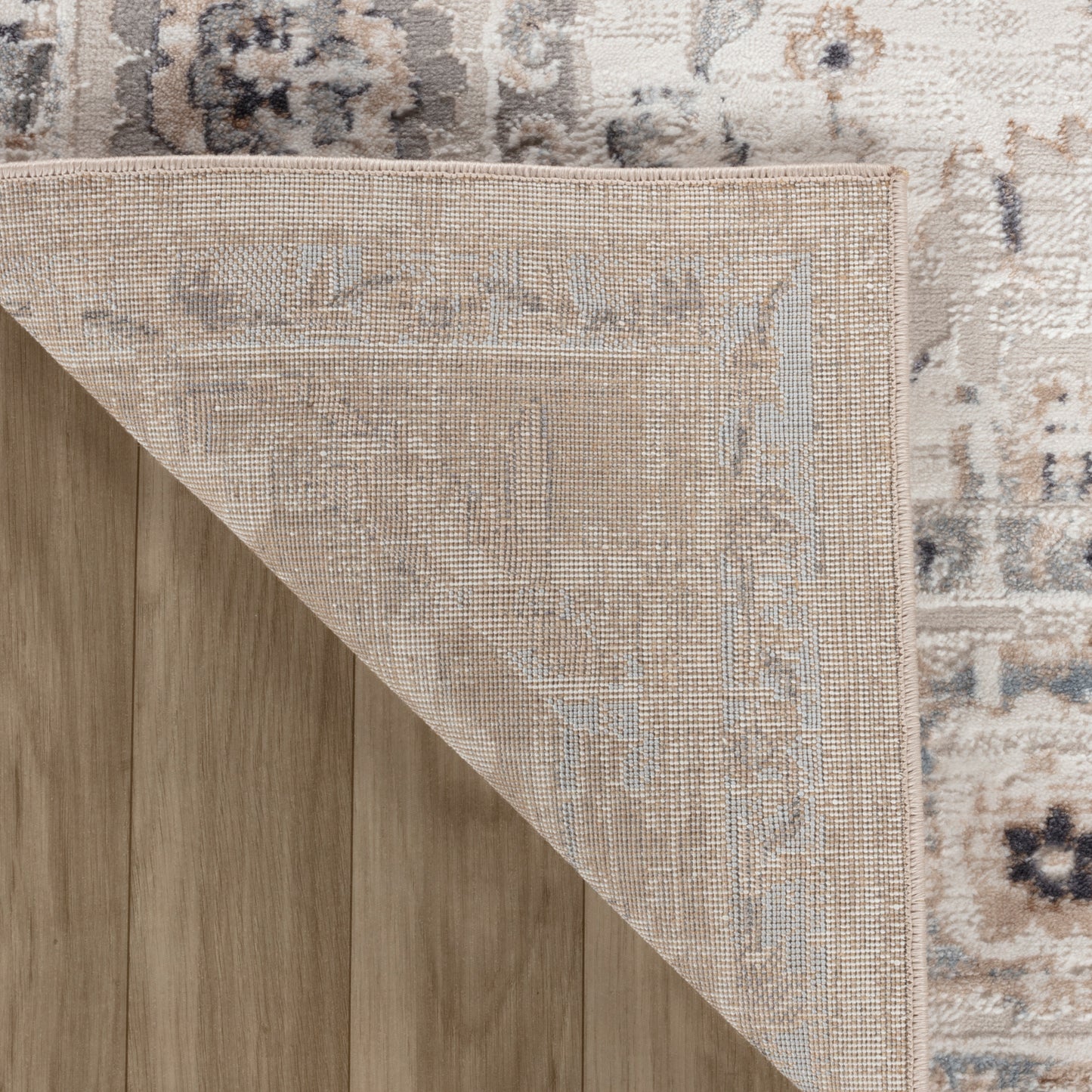 Wiam Distressed Medallion Traditional Beige and Ivory Indoor Rug-9
