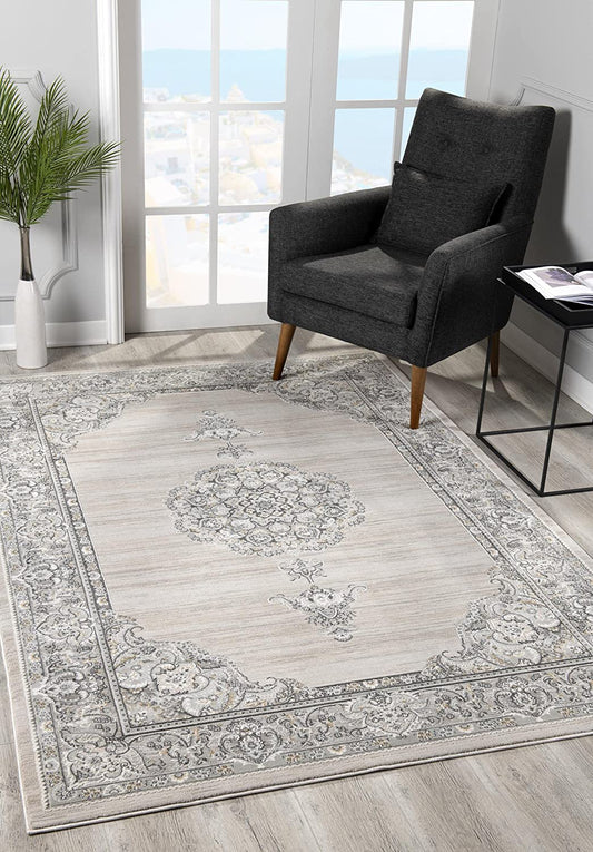 Regalia Medallion Transitional Grey and Cream Indoor Rug