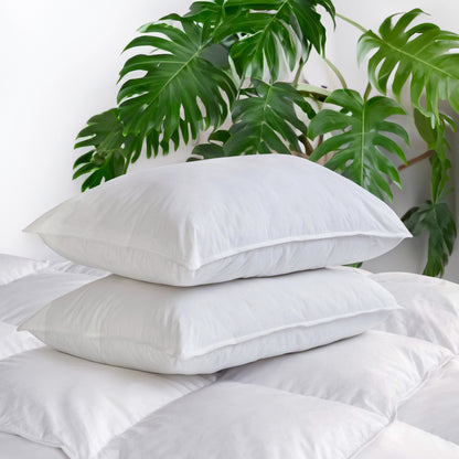 Soft 600 Loft White Duck Down Pillow with 300T Tencel Organic Cotton Shell