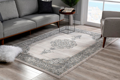 Silvia Transitional South-Western Grey Rug