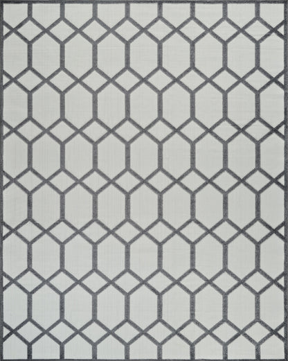 Kairo Trellis Contemporary Grey and Beige Indoor Rug-3