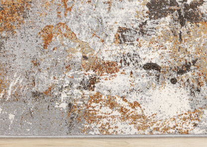 Contemporary Border Distressed Grey Area Rug