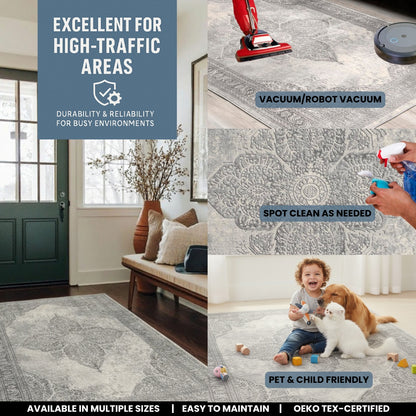 Soraya Medallion Floral Grey Indoor Rug