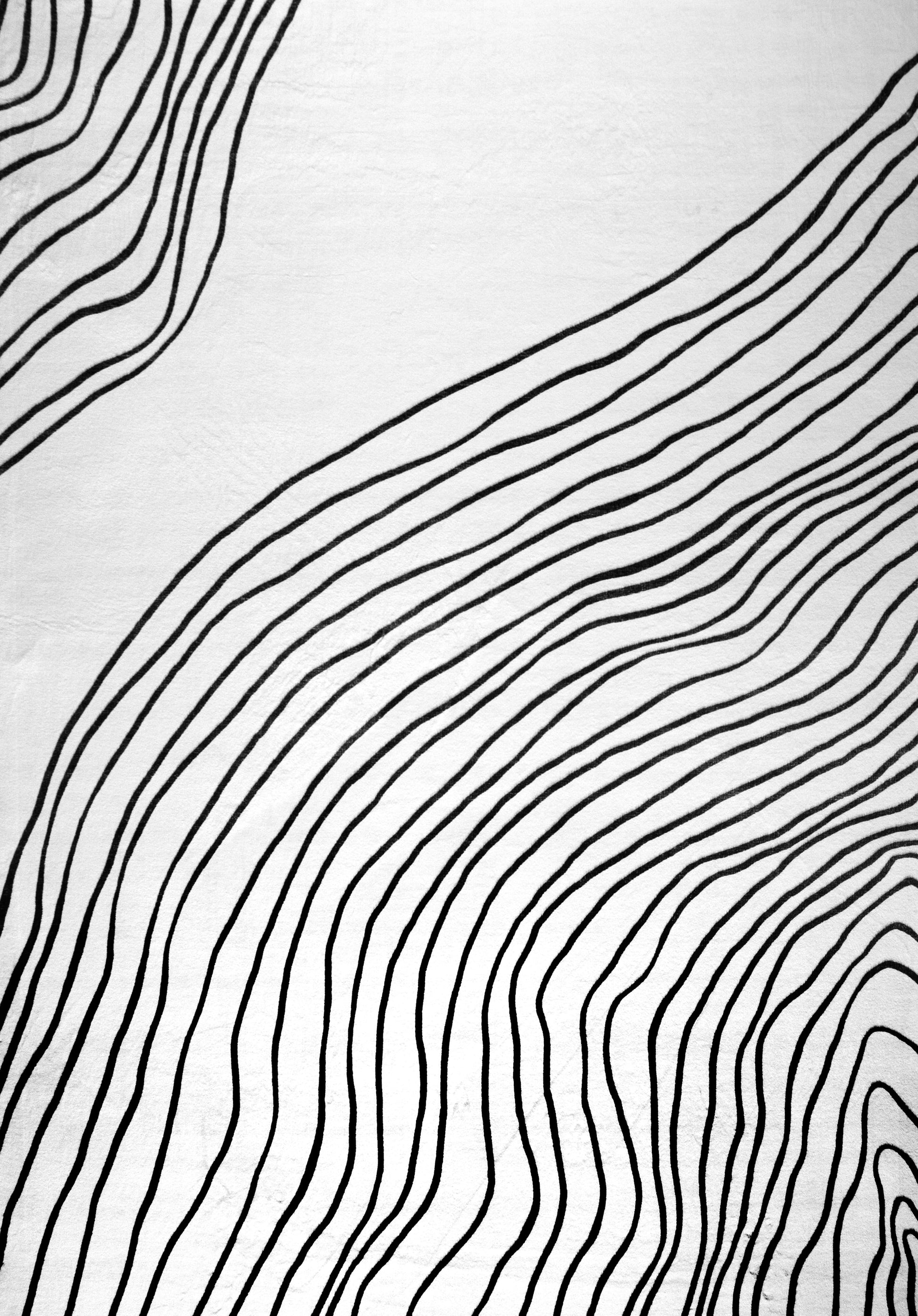 Nami Abstract Line Contemporary White and Black Indoor Rug-7