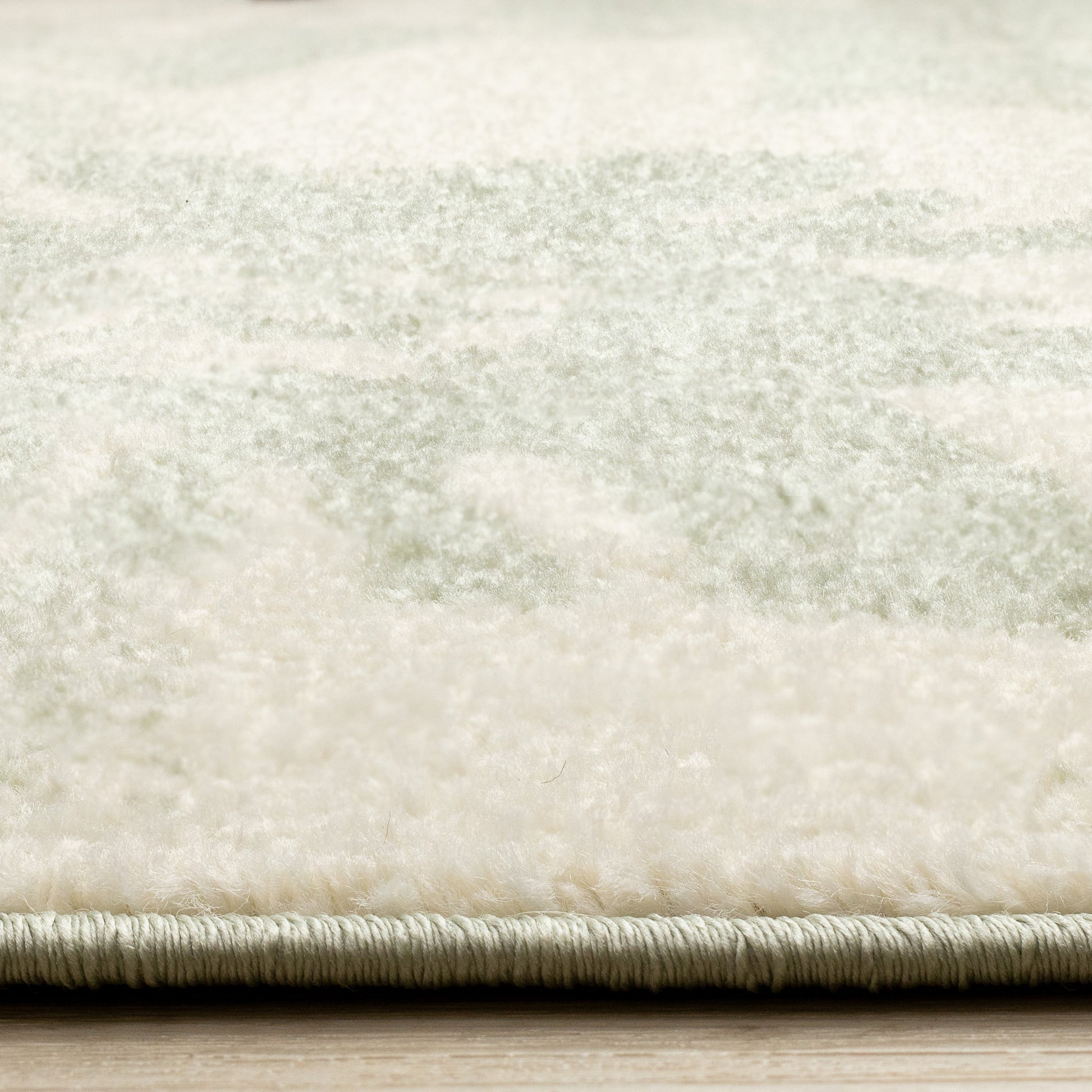 Contemporary Botanical Green Area Rug-9