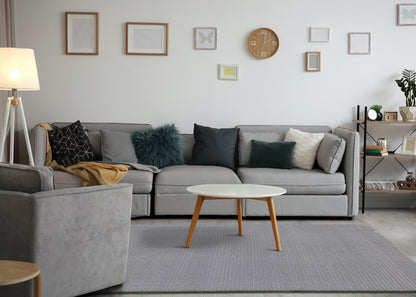 Contemporary Tonal/Solid Rug  Indoor Area-3