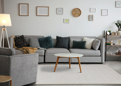 Contemporary Tonal Solid Rug  Indoor Area-3