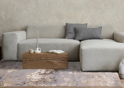 Contemporary Distressed Taupe Area Rug