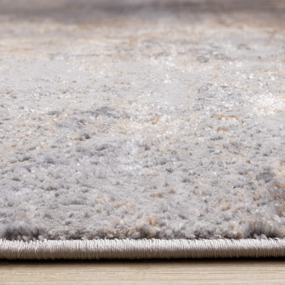 Contemporary Distressed Taupe Area Rug