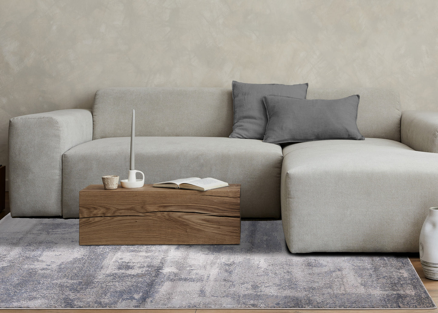 Contemporary Distressed Grey Area Rug