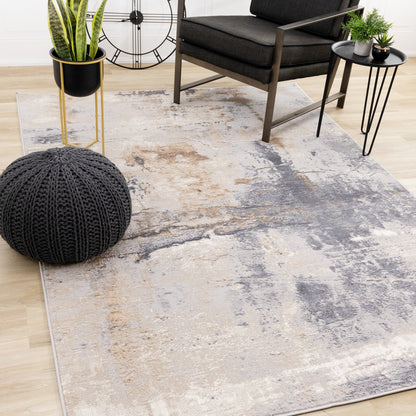 Contemporary Distressed Taupe Area Rug-2