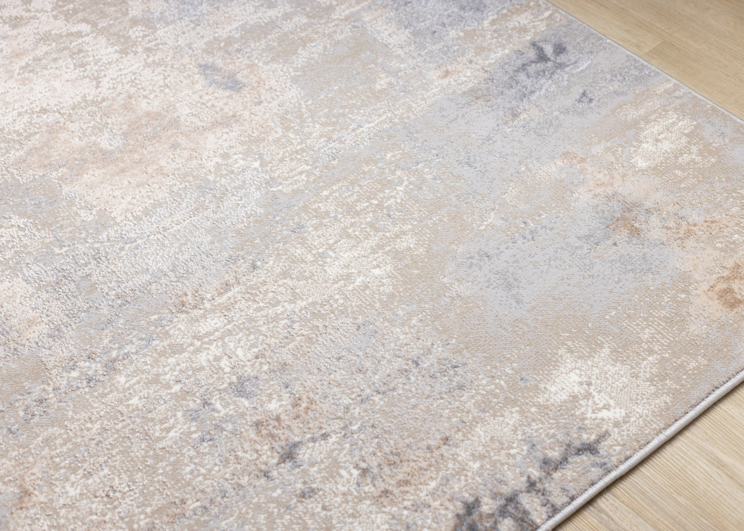 Contemporary Distressed Taupe Area Rug-4