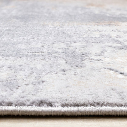 Contemporary Distressed Taupe Area Rug-9