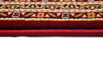 Faris Persian Medallion Traditional Red and Beige Indoor Rug-13