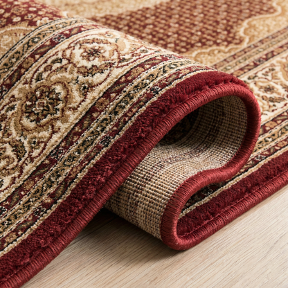 Faris Persian Medallion Traditional Red and Beige Indoor Rug-14