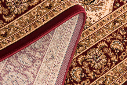 Aseel Persian Medallion Traditional Red and Black Indoor Rug-19
