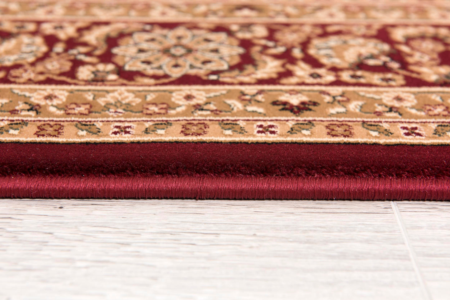 Aseel Persian Medallion Traditional Red and Black Indoor Rug-15