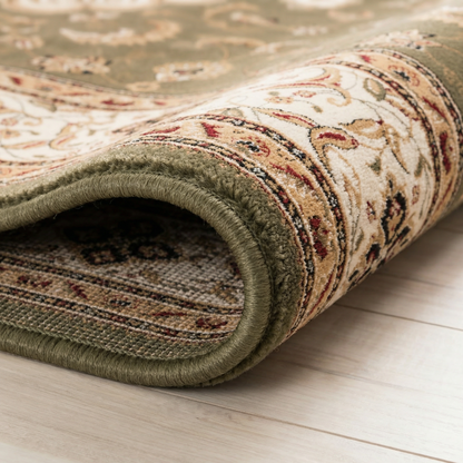 Diwan Persian Medallion Traditional Green and Beige Indoor Rug-18
