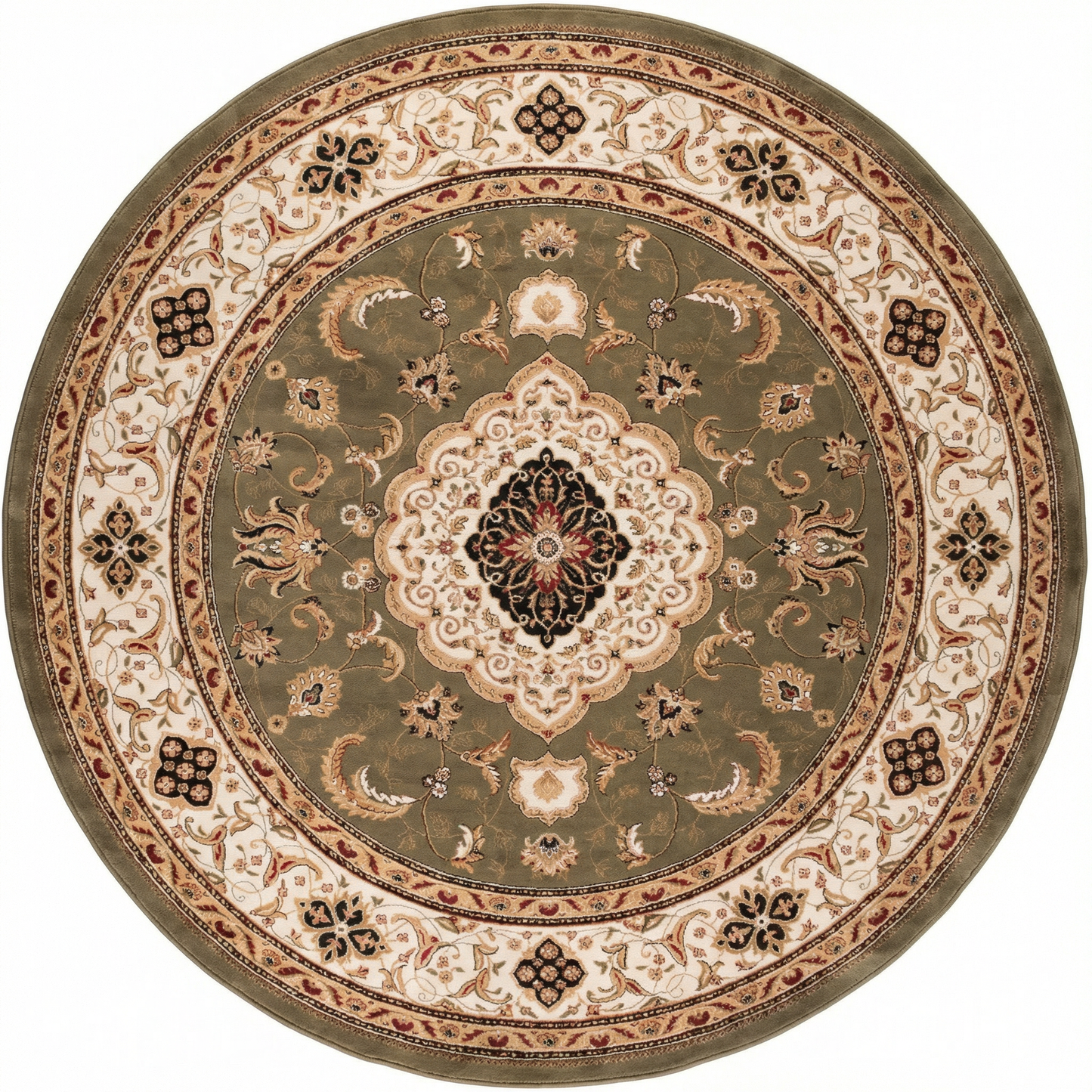 Diwan Persian Medallion Traditional Green and Beige Indoor Rug-14