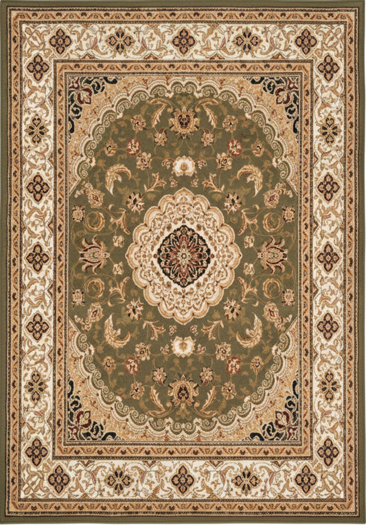 Diwan Persian Medallion Traditional Green and Beige Indoor Rug-1