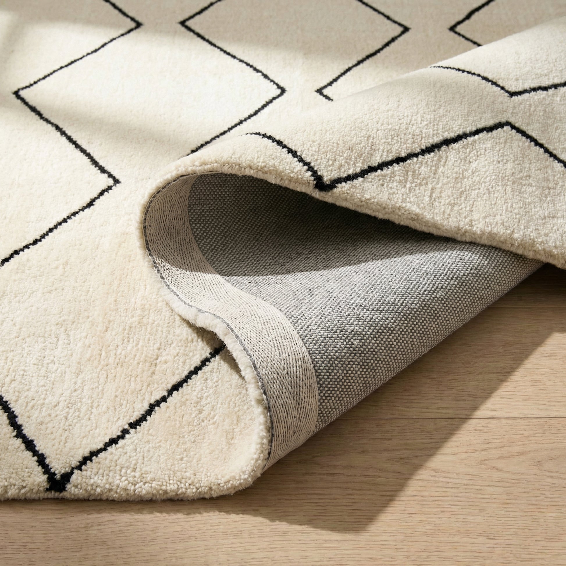 Aegis Trellis Contemporary Beige and Black Indoor Rug-15
