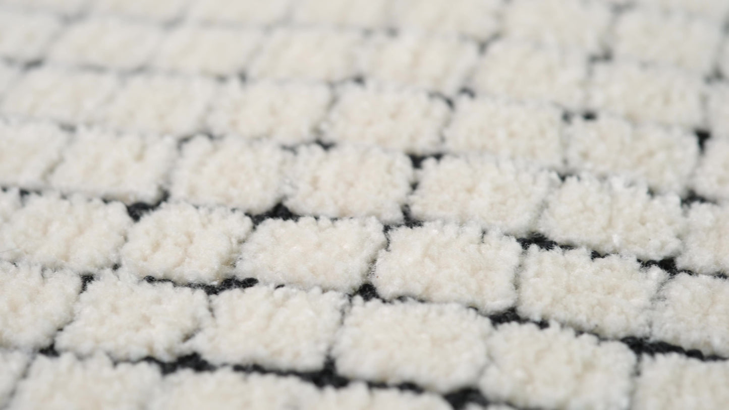 Moru Checkered Contemporary Beige and Black Indoor Rug-14