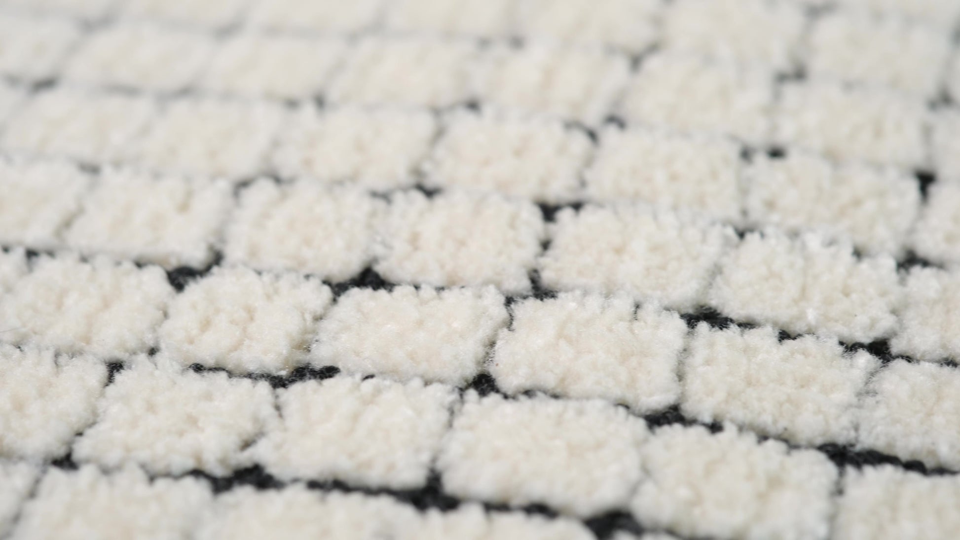 Moru Checkered Contemporary Beige and Black Indoor Rug-14