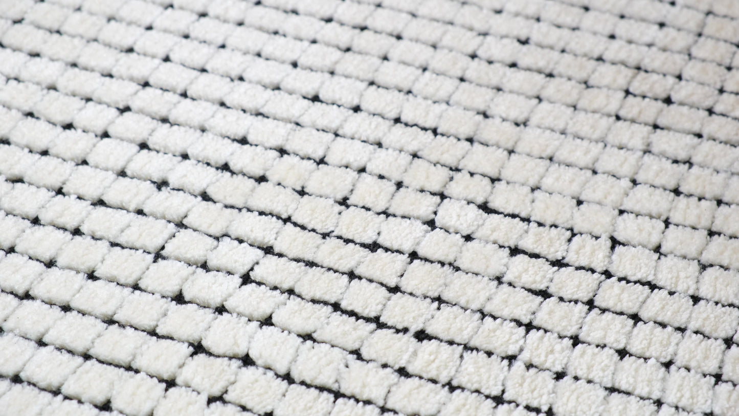 Moru Checkered Contemporary Beige and Black Indoor Rug-22