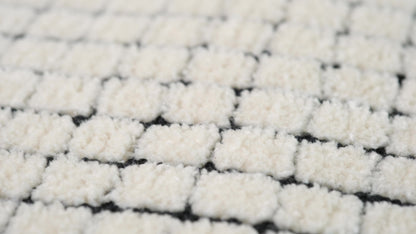 Moru Checkered Contemporary Beige and Black Indoor Rug-23