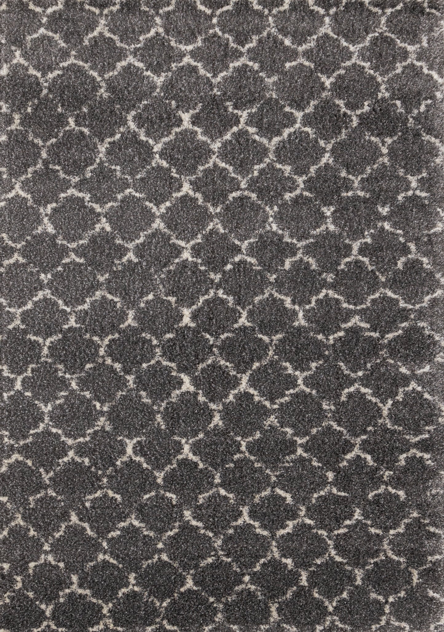 Transitional Elegant Grey Area Rug-1