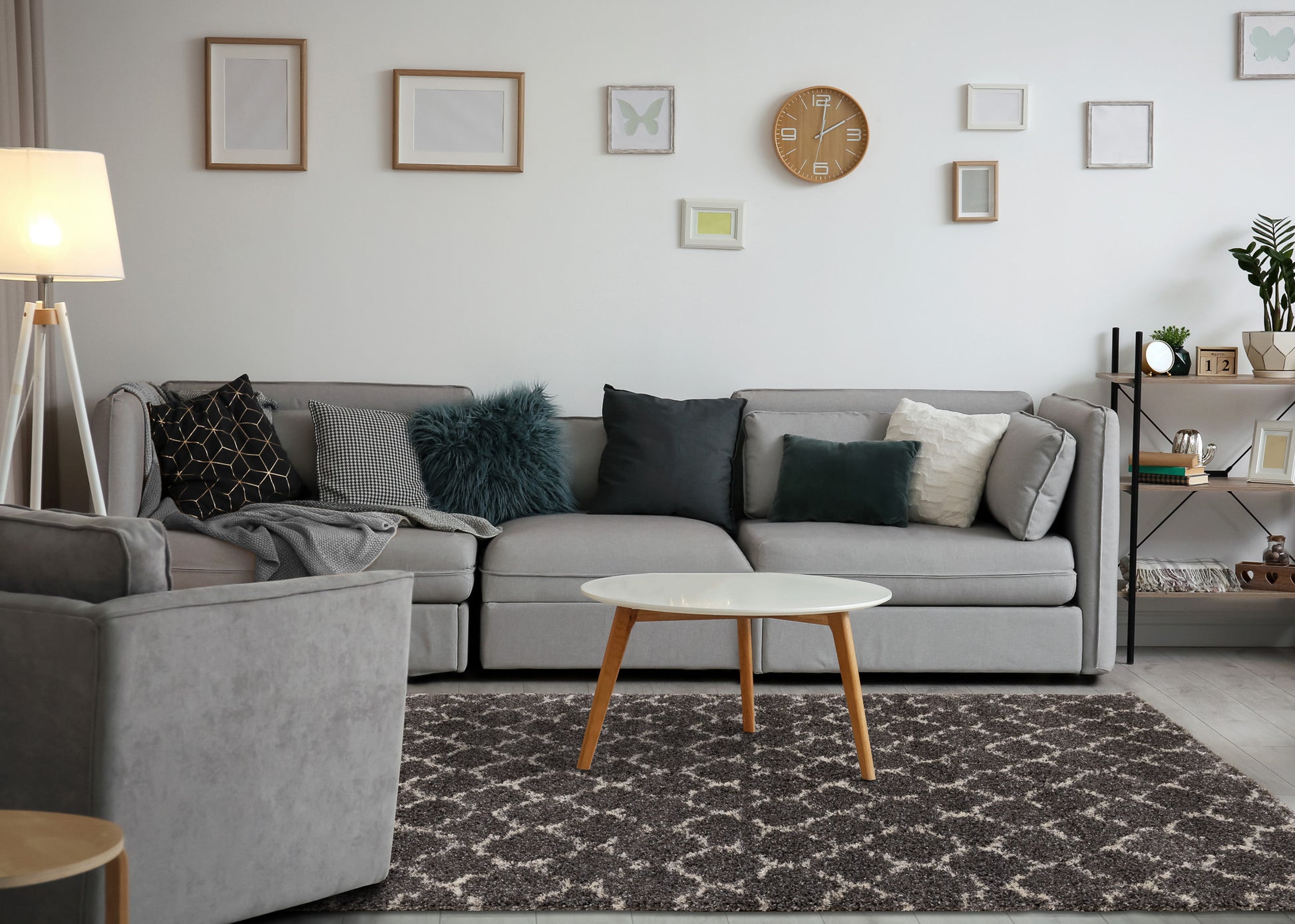 Transitional Elegant Grey Area Rug-3
