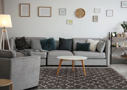 Transitional Elegant Grey Area Rug-3