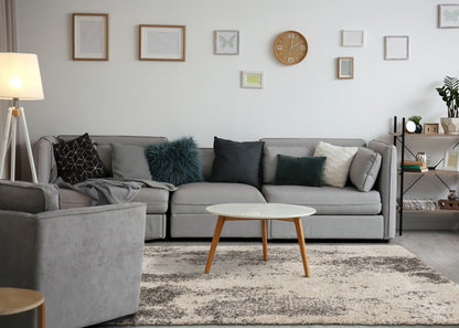 Contemporary Distressed Cream Area Rug