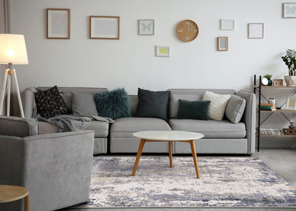 Contemporary Organic Blue Area Rug