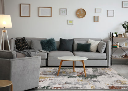 Contemporary Organic Grey Area Rug