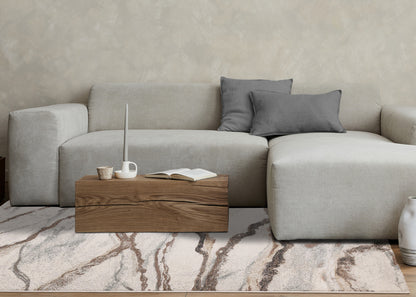 Contemporary Distressed White Area Rug