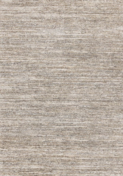 Contemporary Distressed Grey Area Rug