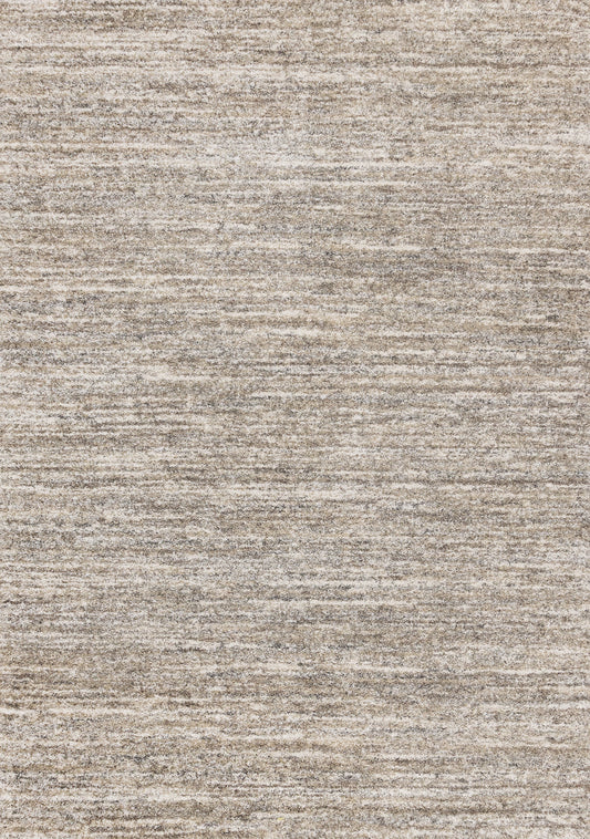 Contemporary Distressed Grey Area Rug