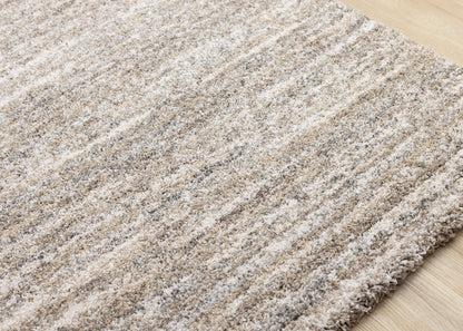 Contemporary Distressed Grey Area Rug
