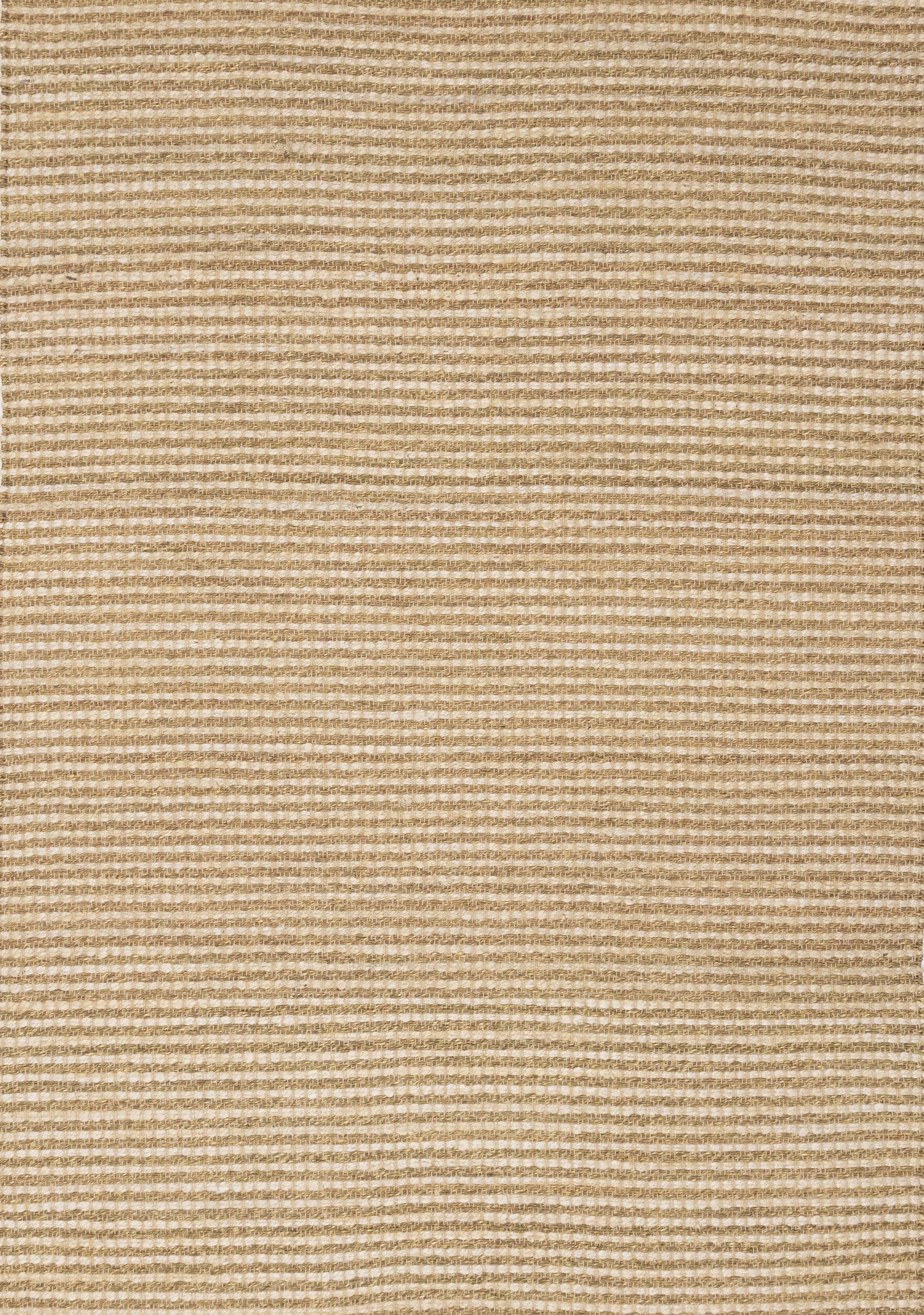 Contemporary Tonal/Solid Beige Area Rug