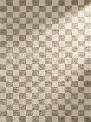 Zenith Checkered Comtemporary Beige and Brown Indoor Rug