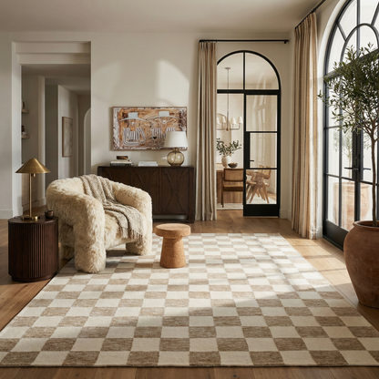 Zenith Checkered Comtemporary Beige and Brown Indoor Rug-5