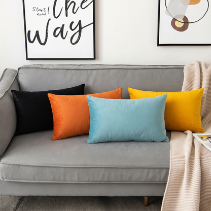Soft Velvet Corail Pillow with Insert & Cover