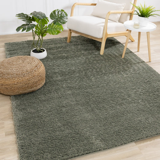 Modern Tonal Solid Green Area Rug