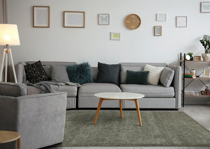 Modern Tonal Solid Green Area Rug-3