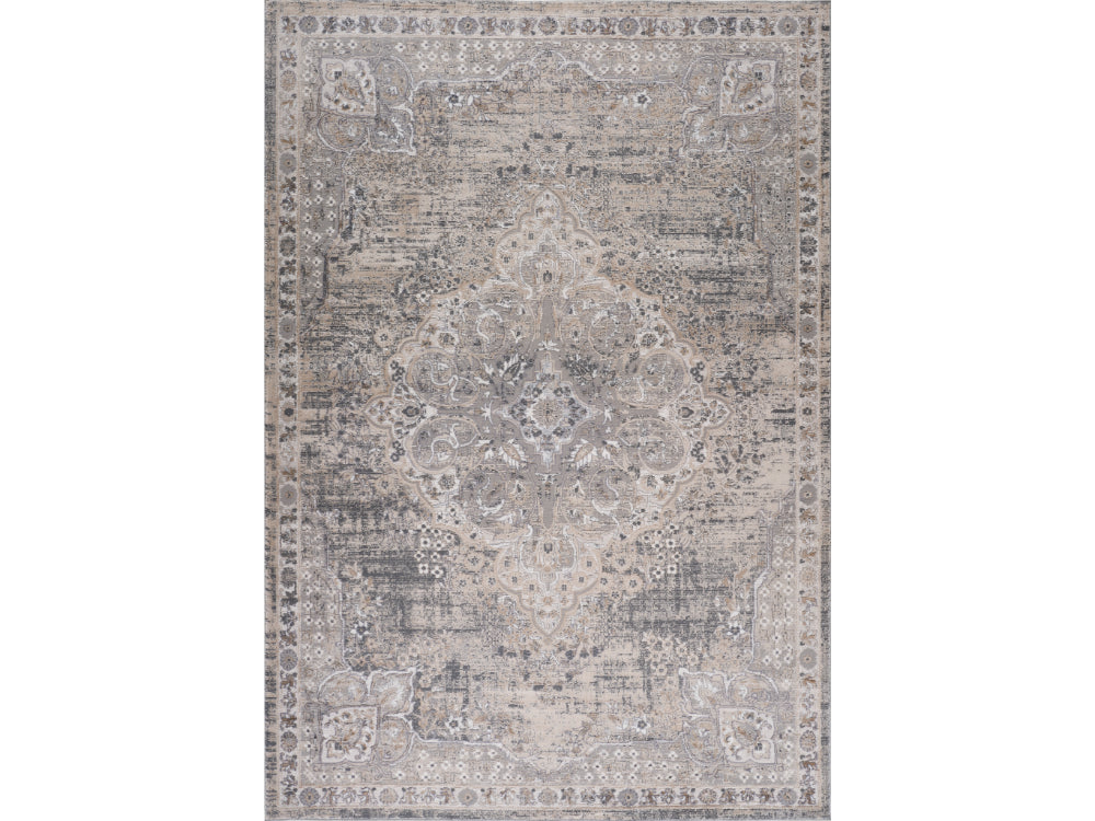 Rawda Oriental Traditional Grey and Beige Indoor Rug-3