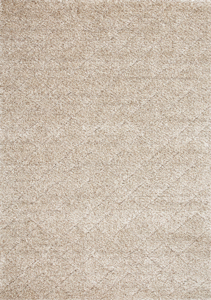 Modern Geometric Beige Area Rug-1